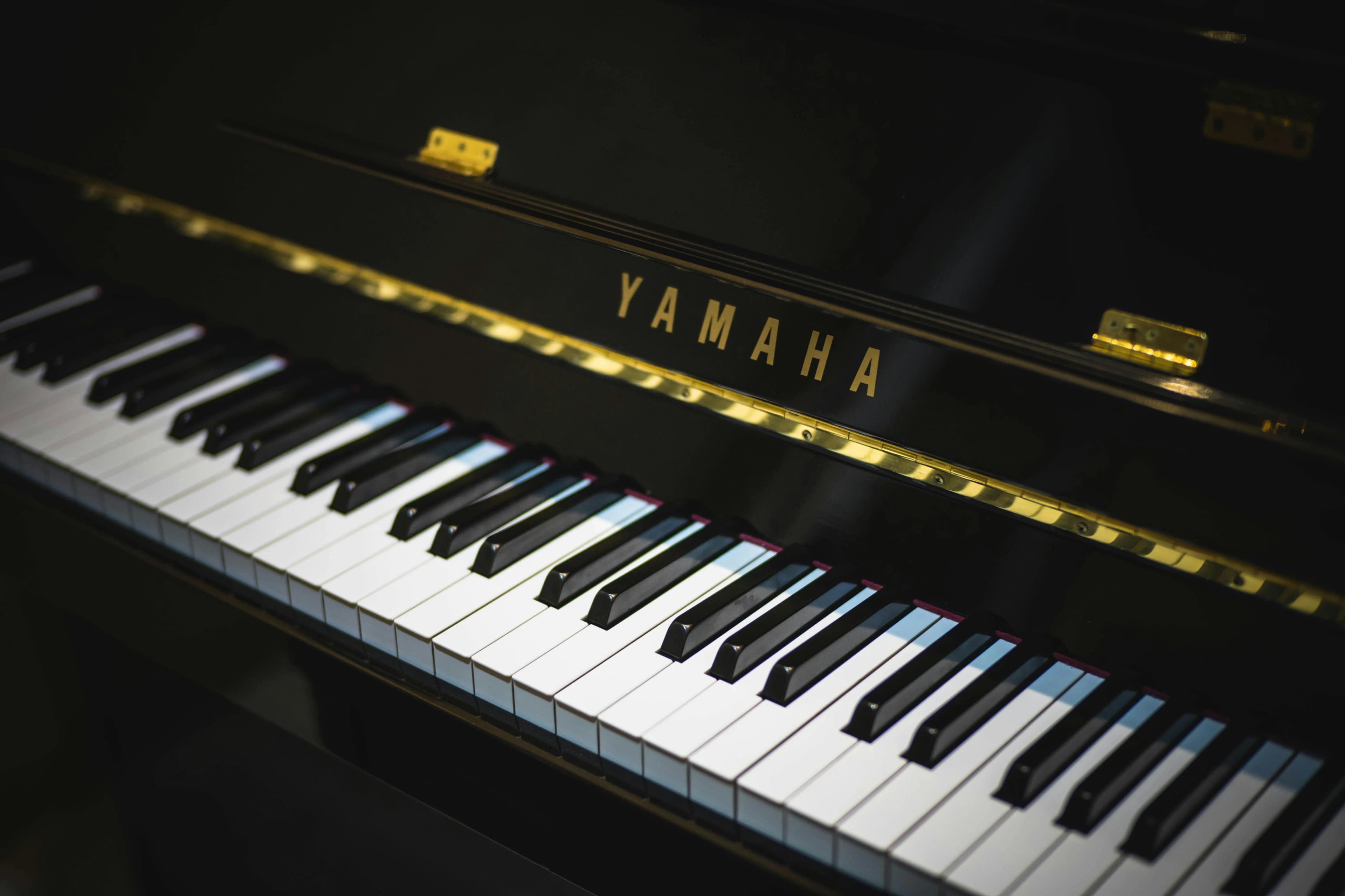 Piano Basics - Your First Steps